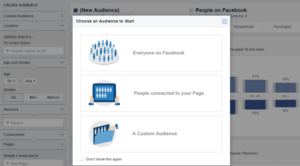 Initial audience definition