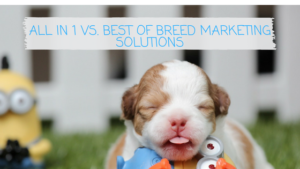 Marketing automation automation header