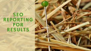 SEO reporting header