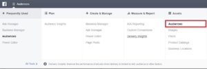 business manager custom audience dashboard